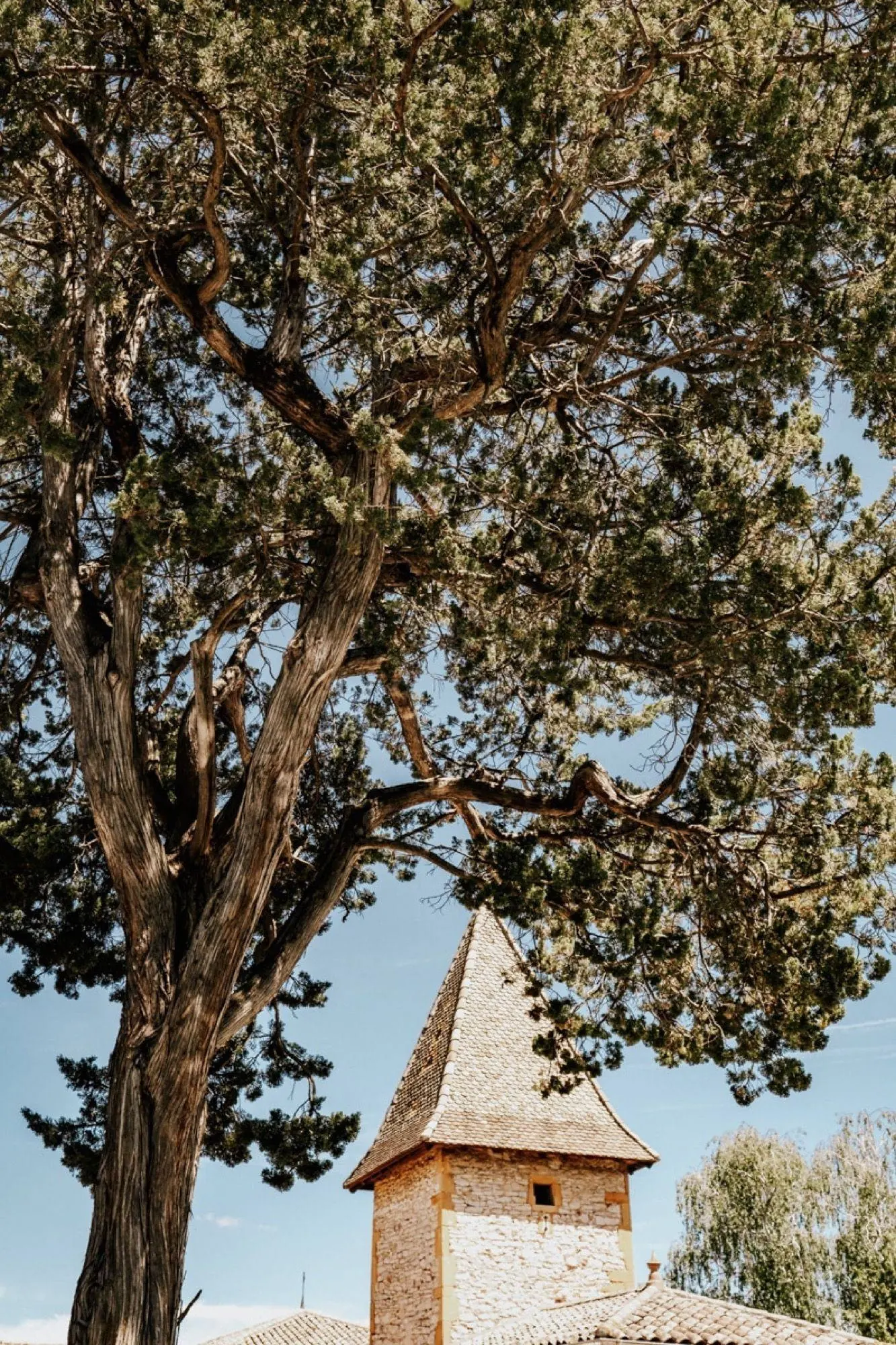 Domaine de Marzé — ouverture